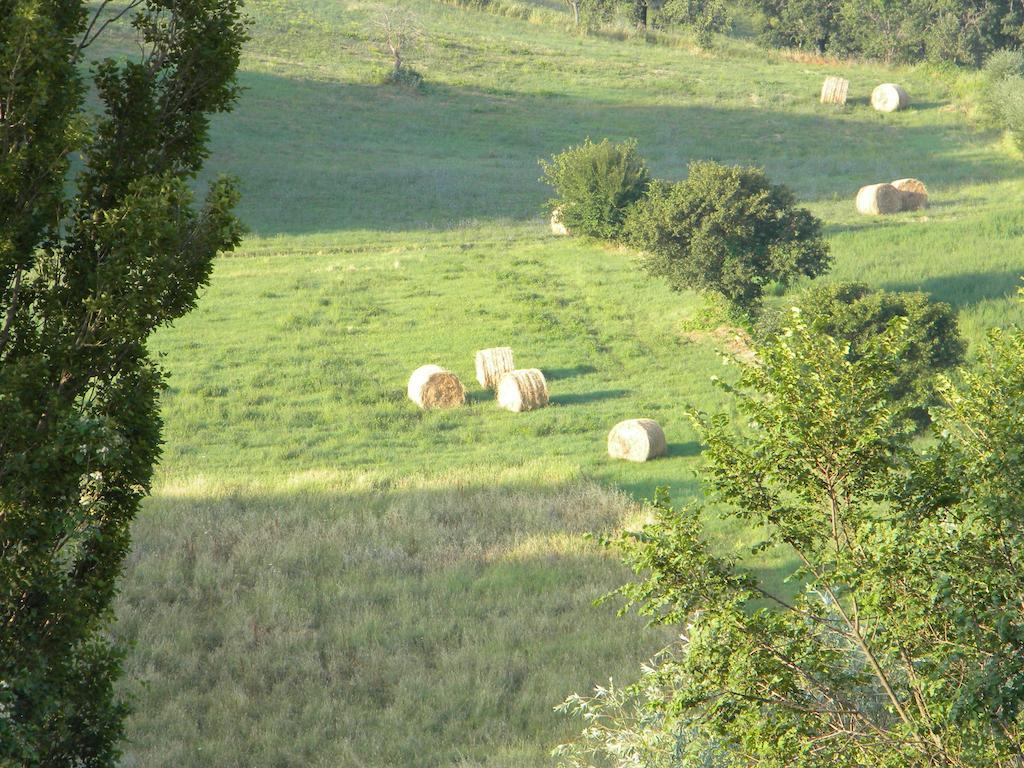 皮耶特拉伦加Agriturismo Borgo San Benedetto别墅 外观 照片