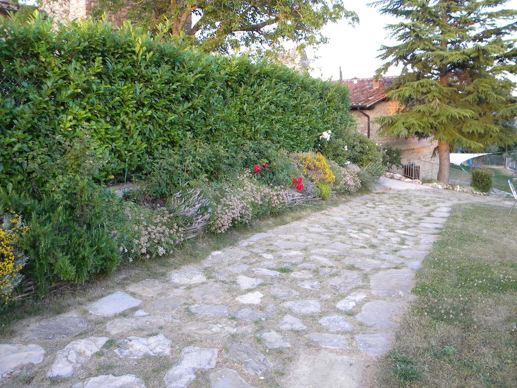 皮耶特拉伦加Agriturismo Borgo San Benedetto别墅 外观 照片