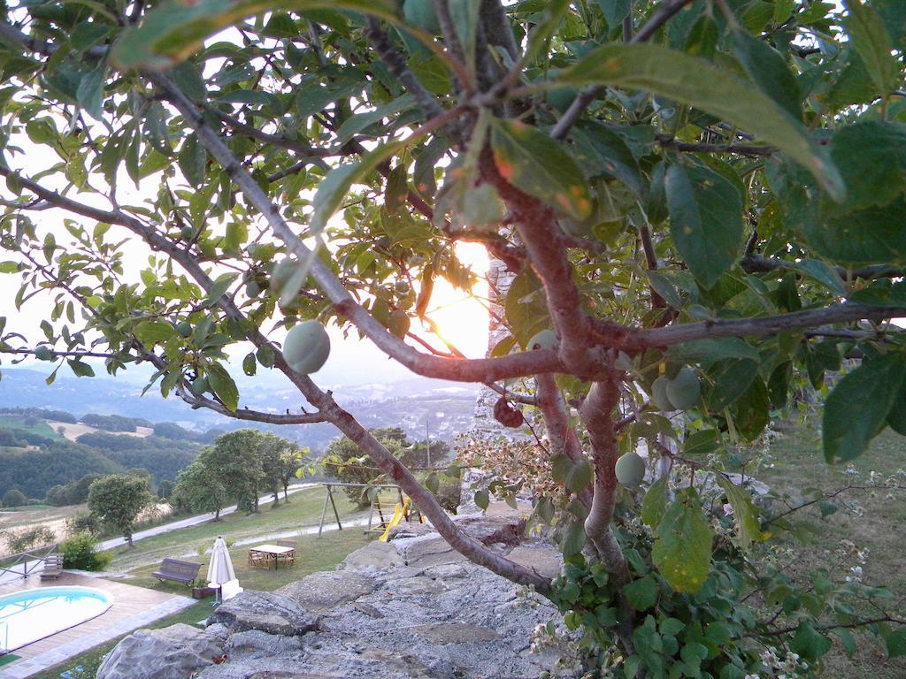 皮耶特拉伦加Agriturismo Borgo San Benedetto别墅 外观 照片