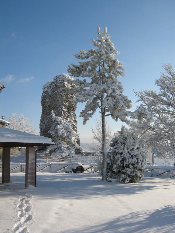 皮耶特拉伦加Agriturismo Borgo San Benedetto别墅 外观 照片